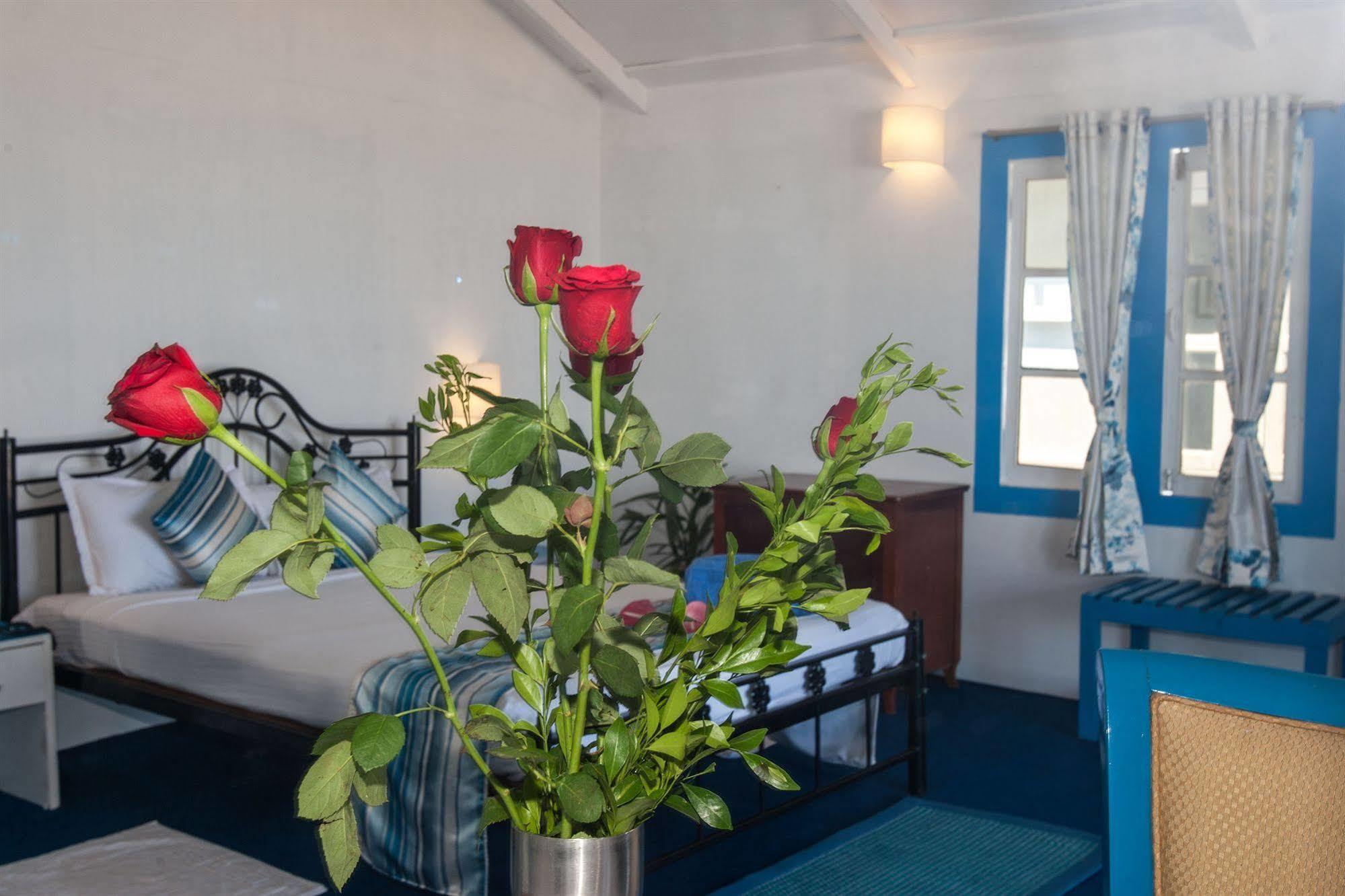 Cuba Agonda Bed and Breakfast Eksteriør billede